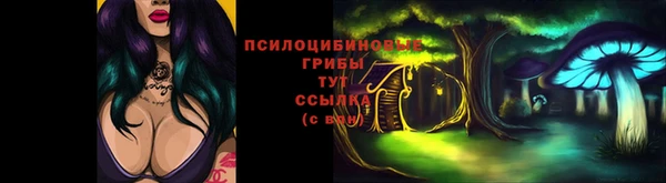 экстази Белокуриха